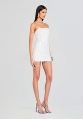 Heather Sequin Star Fringe Dress